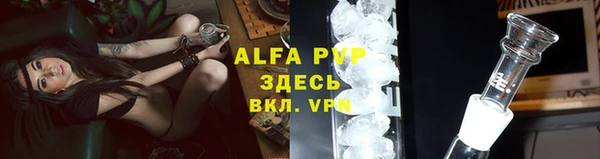 гашиш Богданович