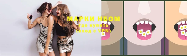 гашиш Богданович