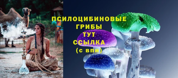 гашиш Богданович