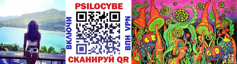Галлюциногенные грибы Psilocybe  сайты даркнета телеграм  Белебей  где продают наркотики 